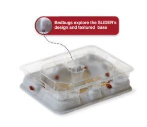 Slider Bedbug Detection Monitor